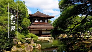 Summer Gardens in KYOTO. 京都の夏のガーデン #kyoto