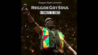 Reggae Rajahs Vol. 17 : Reggae Got Soul (A Tribute to Toots)