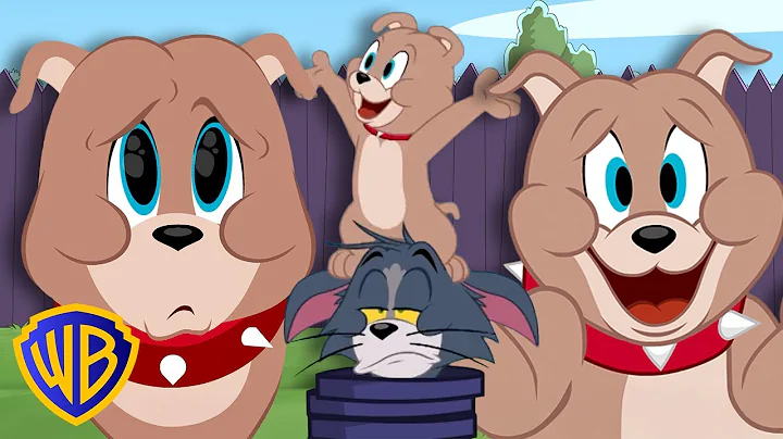 Tyke Takeover! 🐶 | Tom & Jerry @wbkids