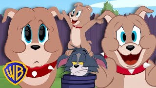 Tyke Takeover! 🐶 | Tom &amp; Jerry @wbkids