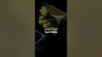 فقلت استغفروا ربكم إنه كان غفارا || سورة نوح || القارئ: فارس عباد
