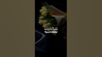 فقلت استغفروا ربكم إنه كان غفارا || سورة نوح || القارئ: فارس عباد