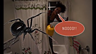 Scaring Girlfriend With Spider 🕷 😱