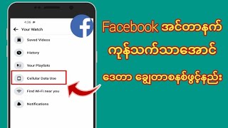 Facebookကိုဒေတာကုန်သက်သာအောင်သုံးနည်း