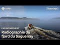Un Meilleur Portrait De La Biodiversité Dans Le Saguenay Découverte Un Meilleur Portrait De La Biodiversité Dans Le Saguenay Découverte