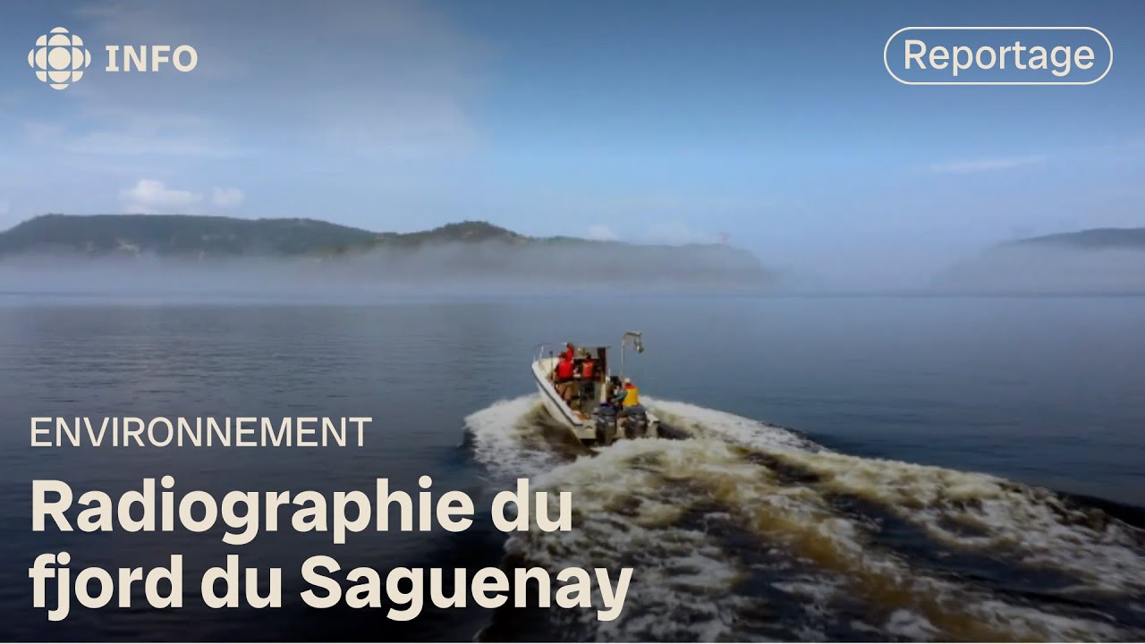 Un meilleur portrait de la biodiversité dans le Saguenay | Découverte