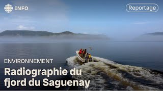 Un meilleur portrait de la biodiversité dans le Saguenay | Découverte