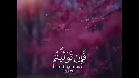 آيات القرآن الكريم (1)