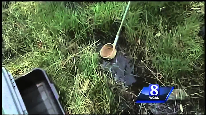 County's spraying to rid region of mosquitoes, prevent West Nile Virus