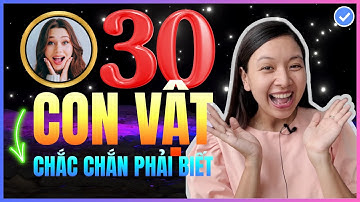 [Bỏ túi] 30 câu tiếng Anh chủ đề Con Vật THÔNG DỤNG NHẤT phải THUỘC LÒNG để giao tiếp lưu loát