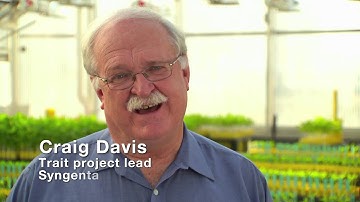 Y.E.S. Yield Engineering System: Advanced analytics to feed a hungry world