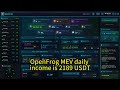 I asked an accountant to review OpenFrog ai's tax report – his verdict