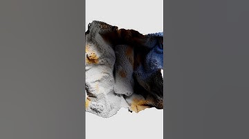Organic Particle Matter (CGI)