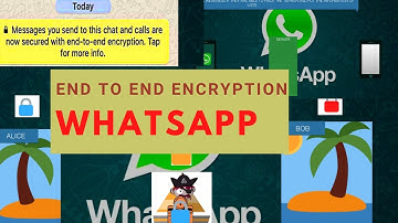 #WhatsApp  end to end encryption (E2EE) | Pirate problem Alice and bob |Diffie Hellman Key exchange