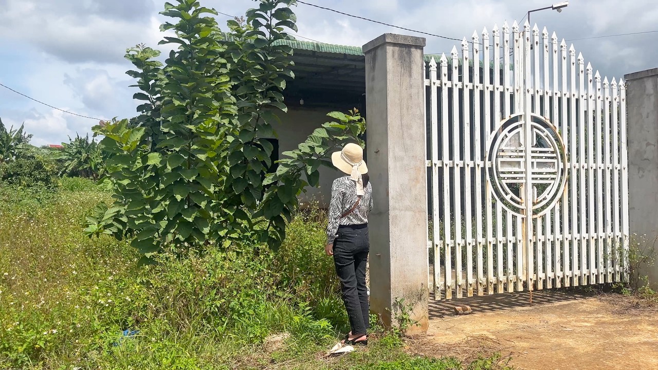 Отвергнутая своей семьей, девушка вернулась, чтобы отремонтировать старый дом и начать жизнь заново