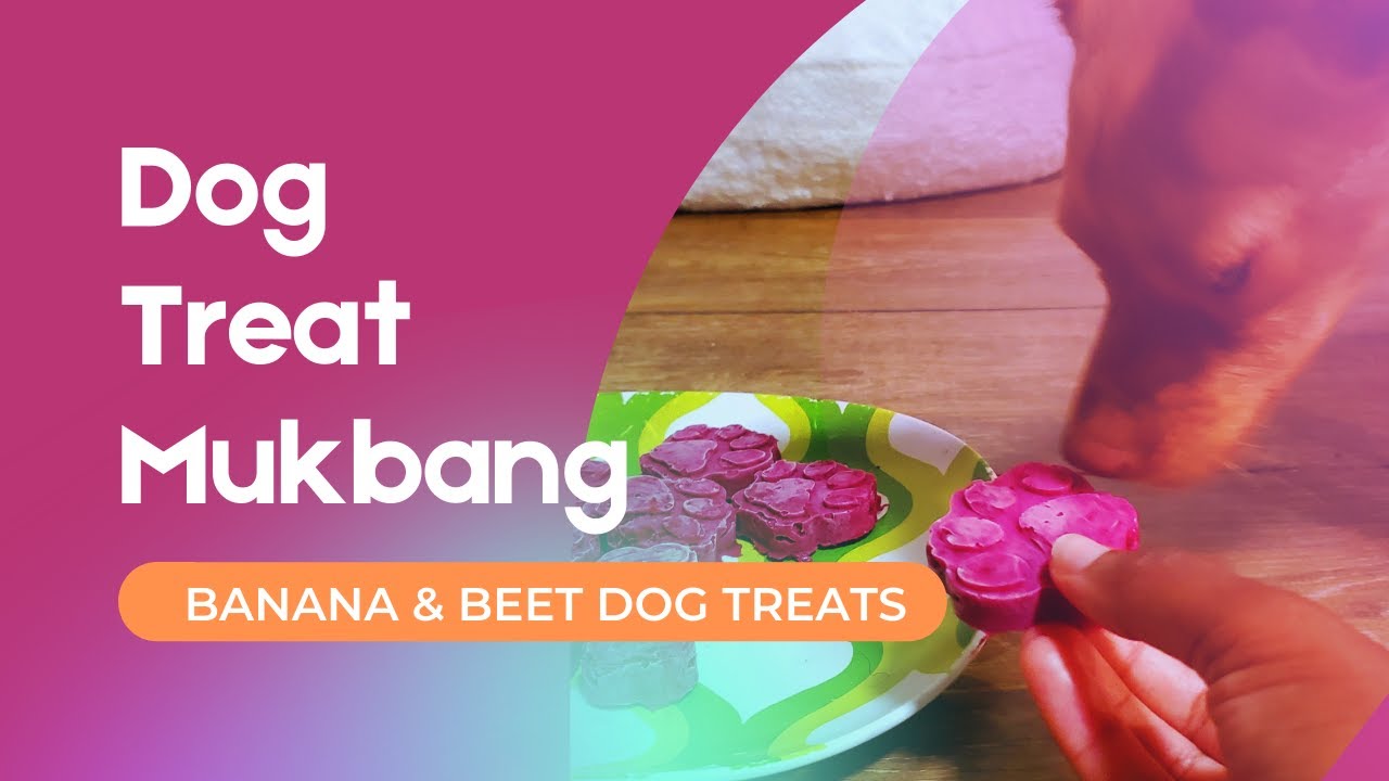 Dog Treat Mukbang Banana and Beet Frozen Dog Treat Review YouTube