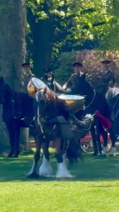 MASSIVE HORSE THROWS RIDER 😱