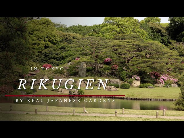 廃盤 伊勢正三 LIVE GARDEN FINAL＋KEY OF GARDEN 廃盤 伊勢正三 LIVE GARDEN FINAL＋KEY OF GARDEN The last