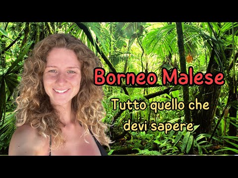 Video: Guidare nel Borneo: cosa devi sapere