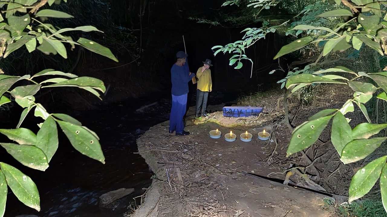 Я застал их за захоронением добычи в 3 часа ночи в лесу.