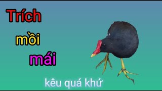 #youtubevuivẻltg trích mái la nghe hây