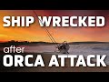 Stranded on a Portuguese Beach After an Orca Encounter