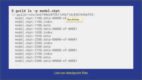 Package Management for Machine Learning Models