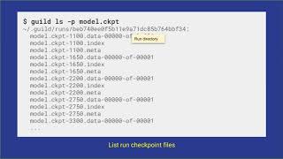 Package Management for Machine Learning Models