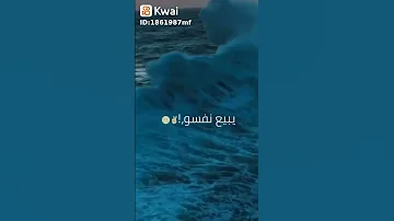 تروح فين من إلى بيحبك قديمه بس بجد بحبها 