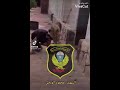 محمود الورفلي رحمة الله عليه