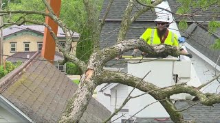 'I think we got lucky': Ripon cleans up after major storm damage