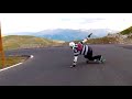 GT Downhill: Epic Longboarding in The Alps 2014