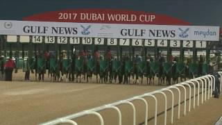 Vidéo de la course PMU DUBAI GOLDEN SHAHEEN