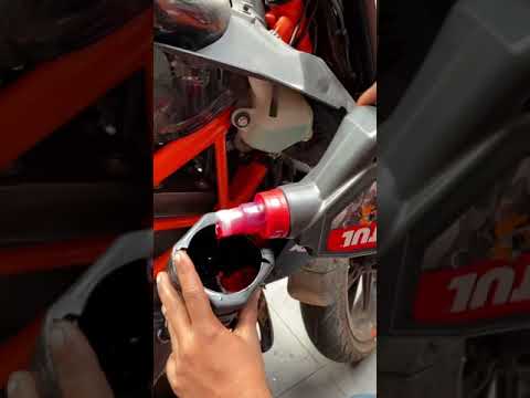 Using Motul 10w50