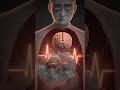 ai video#aivideo #shortvideo #youtubeshorts #shortfeed