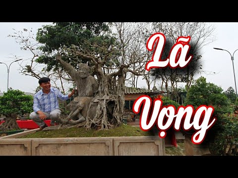 Video SH.5923. Cây Sanh và ông Lã Vọng câu Cá khá đẹp đấy... - youtube