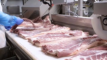 Amazing Food Machines and Processing Processes | 5