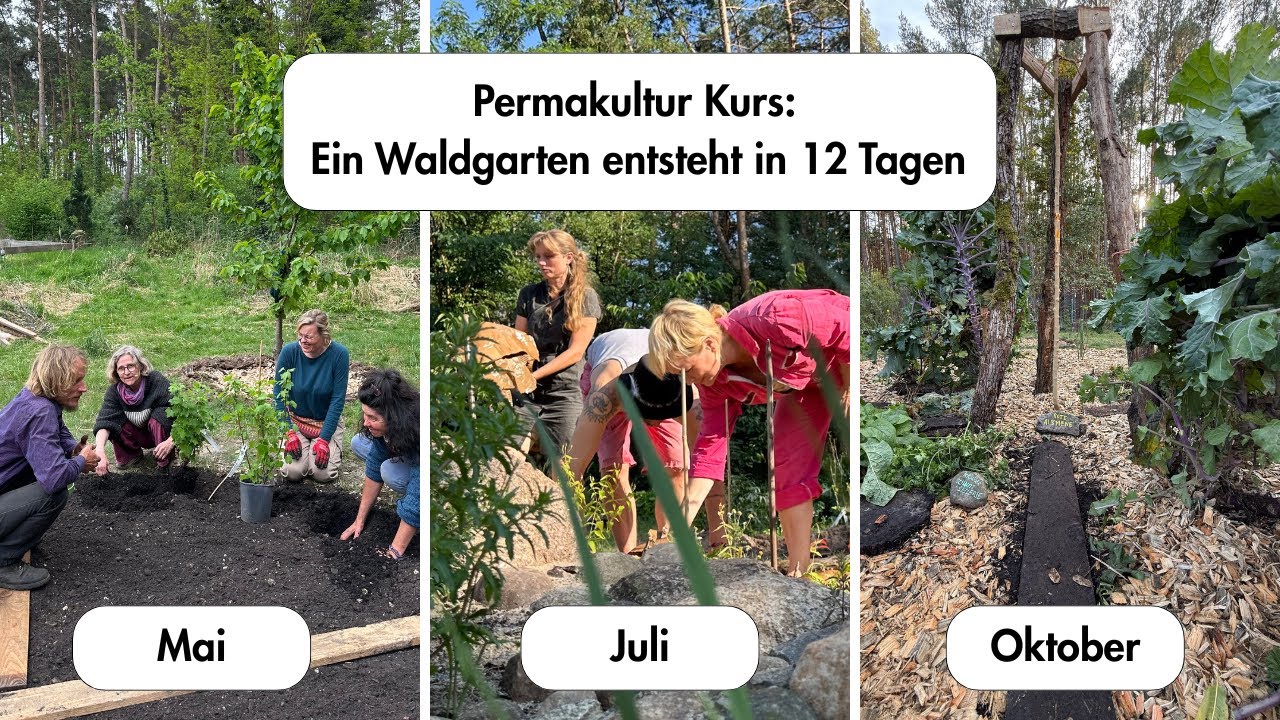 Ein Waldgarten entsteht in einem Permakulturkurs in 12 Tagen in Cottbus #foodforest #playtogrow