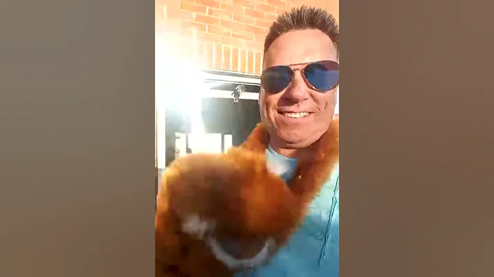 monkey fun with terry farlow