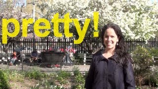 The Flap T American English Pronunciation