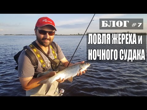 ловля жереха на спиннинг ночью