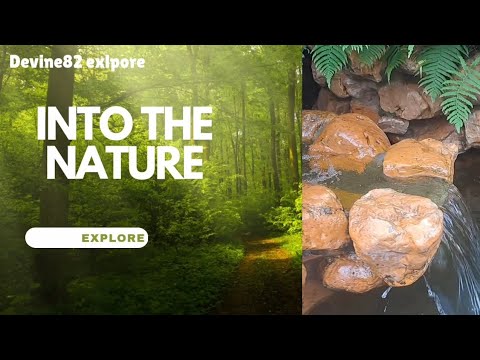 I AM NATURE LOVER, LETS EXPLORE TOGETHER #naturelovers #dayoffbelike # ...