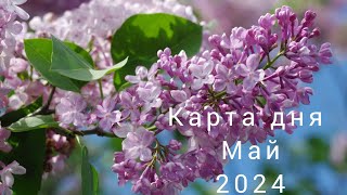 20 мая 2024 года Карта дня ❤️ Таро предсказание #таро #love #tarot #relaxing #2024