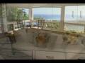 [SACHIHAWAII] Vacation Rental #2 English