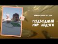 Подводный мир Ладоги (невошедшие кадры)