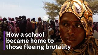 Chad: Inside the border town home to thousands of Sudanese fleeing war