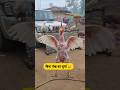 बिना पंख का मुर्गा 😂🐔 #thetharpuns #funnymunna #funny #murga #newyear #2026