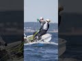 Day 2 | 2026 470 Junior World Championship, Gdynia POL