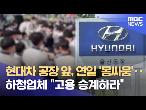 YouTube 동영상