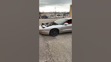 CC 280 xfi 96 LT1 Firebird open headers